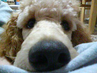 20070717173142.jpg